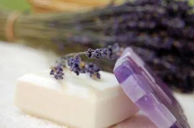Metoda pravljenja sapuna bez lužine