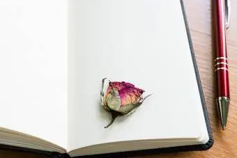 Μονό τριαντάφυλλο αποξηραμένο επίπεδο σε ένα βιβλίο