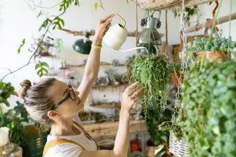 Žena zalijeva viseće biljke