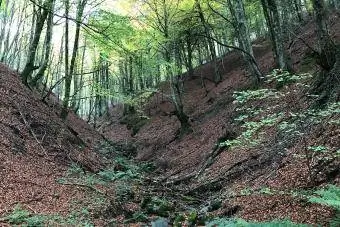 El agua se filtra a través del suelo.