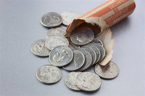 Las 10 monedas de veinticinco centavos más valiosas de EE. UU. con las que sueñan los coleccionistas