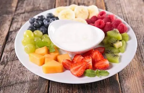 Marshmallow Fluff Fruit Dip Recipe and Variations