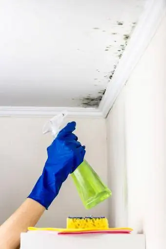 Usuwanie pleśni z pomieszczenia mieszkalnego za pomocą środka czyszczącego