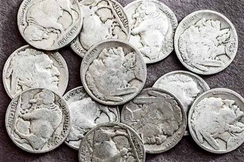 Las monedas de cinco centavos más valiosas que debes buscar en tu frasco de cambio