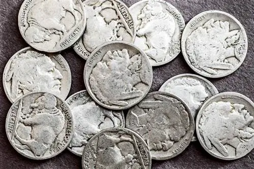 Ang Pinakamahalagang Nickels na Titingnan sa Iyong Change Jar