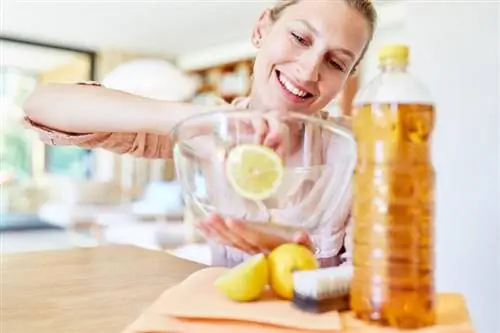 3 façons de neutraliser les odeurs de vinaigre après le nettoyage