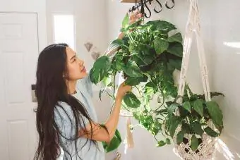 Mulher trocando plantas de interior