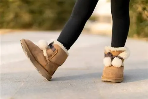 Entfernen Sie Flecken von Ugg-Schuhen, damit sie makellos aussehen