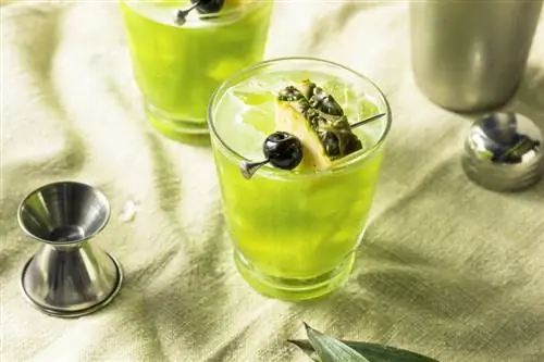 Cocktail di mostri verdi non così spaventoso