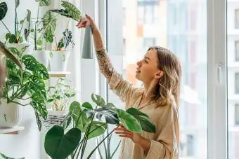 Mooie vrouw die thuis water sproeit op kamerplanten