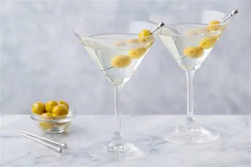 7 Gins ที่ดีที่สุดสำหรับ Martini ที่ประณีต