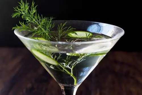 Yay Sipper üçün Xiyar Martini Resepti