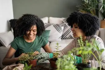 Mutter und Tochter kümmern sich zu Hause gemeinsam um Pflanzen