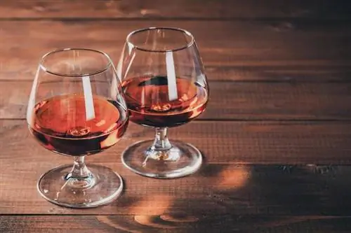 11 Cognac Terbaik untuk Mendiskriminasi Citarasa pada Sebarang Belanjawan