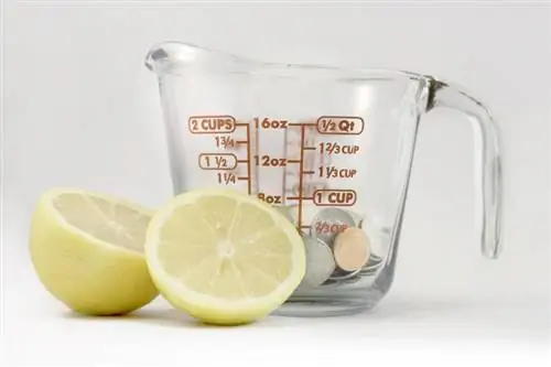 Katere vrste soka lahko uporabite za čiščenje penijev?