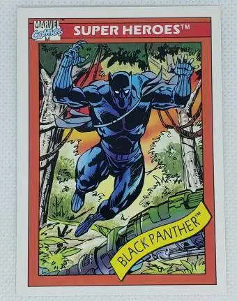 1990 Black Panther