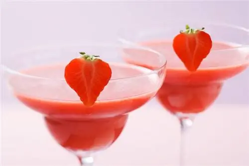 Külmutatud maasika Daiquiri: retseptid, mis jahutavad teid