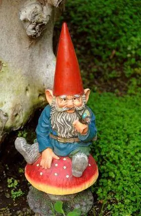 Povijest gnomova