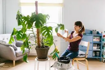 Donna asiatica sorridente che spruzza acqua sulla pianta