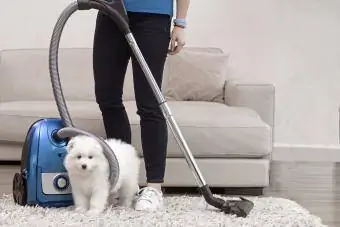 Beyaz köpekle elektrikli süpürgeyi ayakta tutan kadın