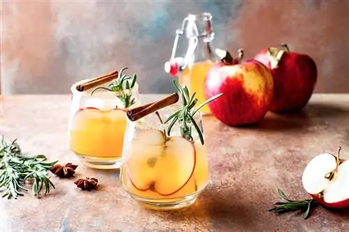 14 cócteles sin alcohol de otoño para disfrutar de un otoño sobrio