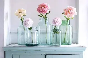 সবুজ কাচের vases মধ্যে একক peonies