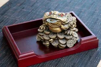 Geldfrosch mit der Münze auf dem Holztisch