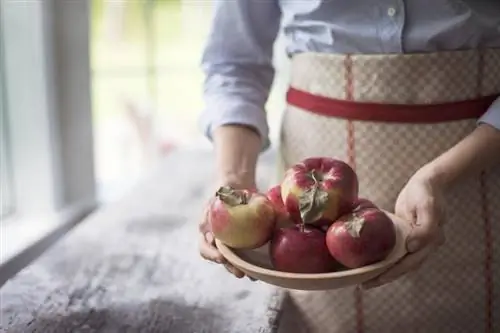 Hur man förvarar äpplen för kortvarig eller långvarig färskhet