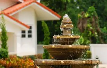 Larawan ng fountain sa likod-bahay