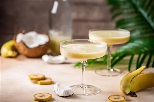 15+ skvělých nápadů na nápoje z banánového likéru