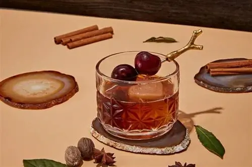 27 meilleurs cocktails d'automne à savourer cet automne