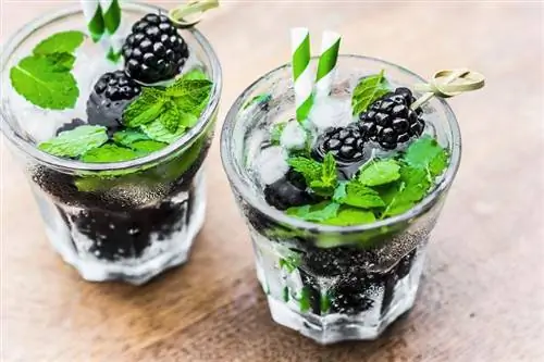 15+ Blissful Blackberry Drink Recipes
