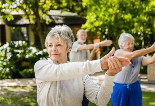 20 увлекательных занятий для пожилых людей, которые помогут им прожить лучшую жизнь