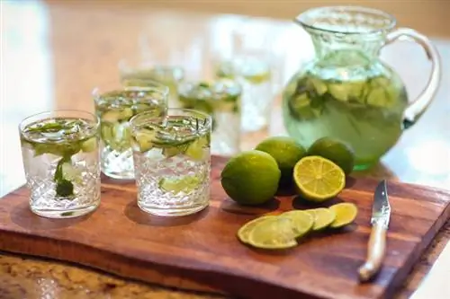 Μίγμα Three Gallon Margarita: Συνταγή για μια γλυκιά σεζόν