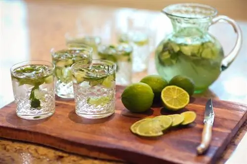 Mezcla de margaritas de tres galones: receta para una temporada dulce