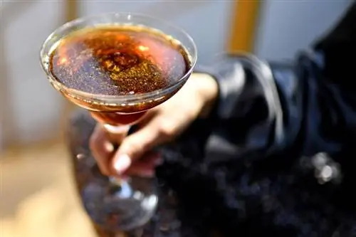 Hvordan få cocktailer til å gnistre: 10 glitrende oppskrifter