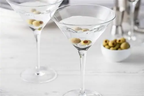 Wie man verschiedene Arten von Martinis macht