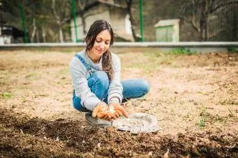 Mulher agricultora durante o processo de plantio de alho