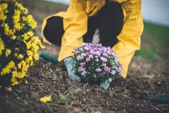 Dona en un jardí de casa