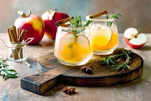 5 skarpe eple- og hennessy-cocktailer