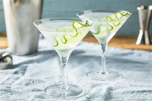 Klassisches Gurken-Martini-Rezept + geschmackvolle Wendungen