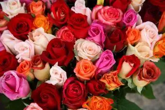 Ruže na prodaju na cvjetnoj pijaci