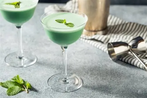 Πώς να φτιάξετε ένα ποτό Grasshopper: Τέσσερις διασκεδαστικές ποικιλίες