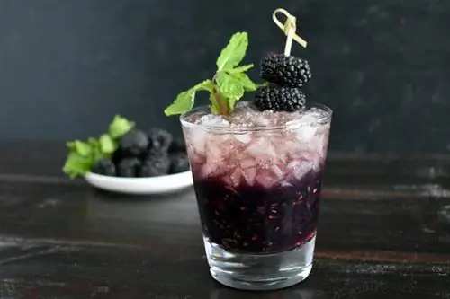 Laikinas Blackberry Bourbon Smash kokteilis