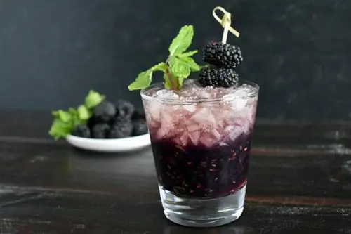 Tidløs Blackberry Bourbon Smash Cocktail