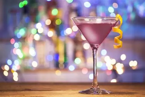 Blackjack Cocktail Med Cherry Brandy og Gin