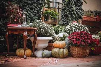 rudens rudens stādītāji, ziedi uz terases