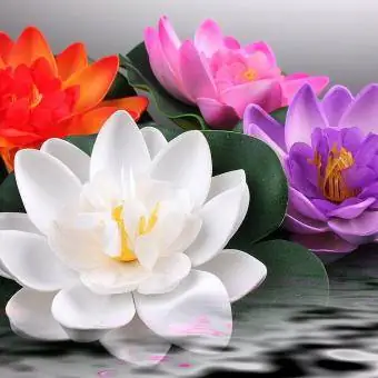 Floating Pond Decor Water Lily Lotus