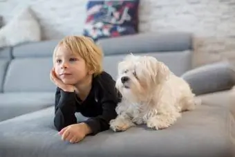 garçon et chien assis sur un canapé