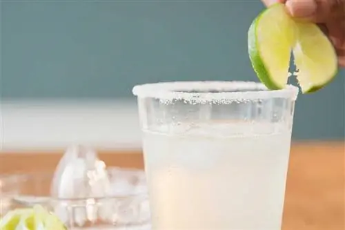 Beachy Banana Margarita